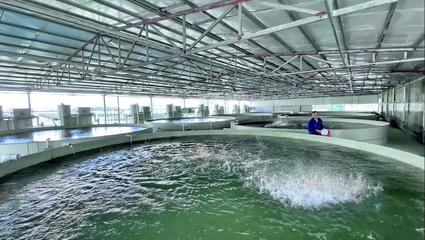 都安 生态循环‘小鱼池’ 带动增收‘大产业’