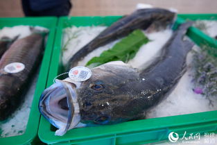 福建省水产品质量安全可码上溯源，推动食品安全放心省创建再上新水平