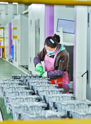 初级农产品 广安农业的绿色基石