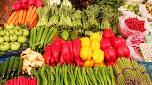 如何让富农变真农 轻松种出高品质初级绿色农产品