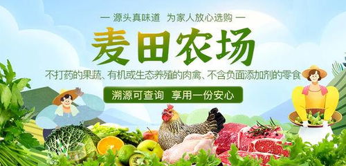 赞麦源选3100计划再下一城 麦田农场开启初级农产品全程溯源新篇章