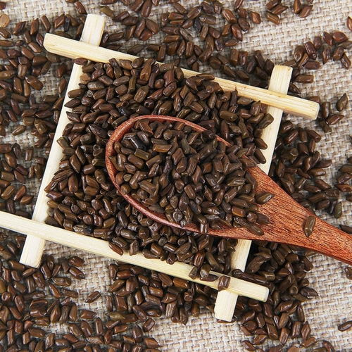 养生新选择 炒熟决明子茶与草本植物组合的初级农产品