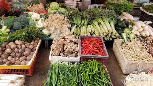隆阳区2019年12月中旬农产品市场价格动态分析